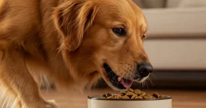 7 Razões Para Escolher a Ração Biofresh Para o Seu Pet