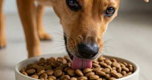 7 Benefícios Surpreendentes da Ração Hills para o Seu Pet